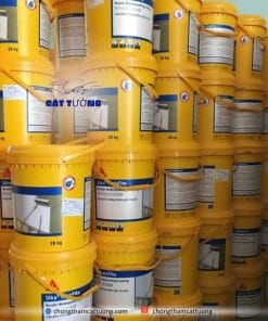 Chống thấm gốc Acrylic Sika RainTite