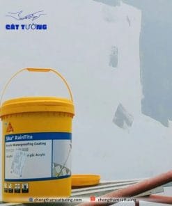 Chống thấm tường Sika RainTite