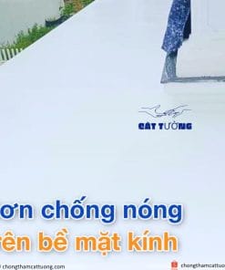 Sơn chống nóng cao cấp Polymers PU 600 Insulation