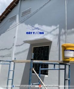 Sơn chống thấm tường Sika RainTite